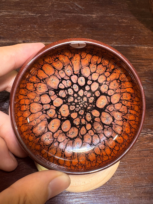 【Michael Pick】08.24