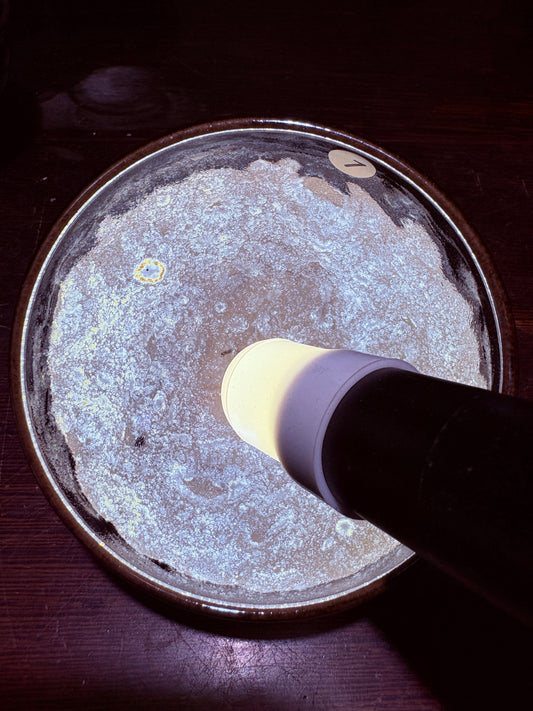 【Michael Pick】08.25（evening）