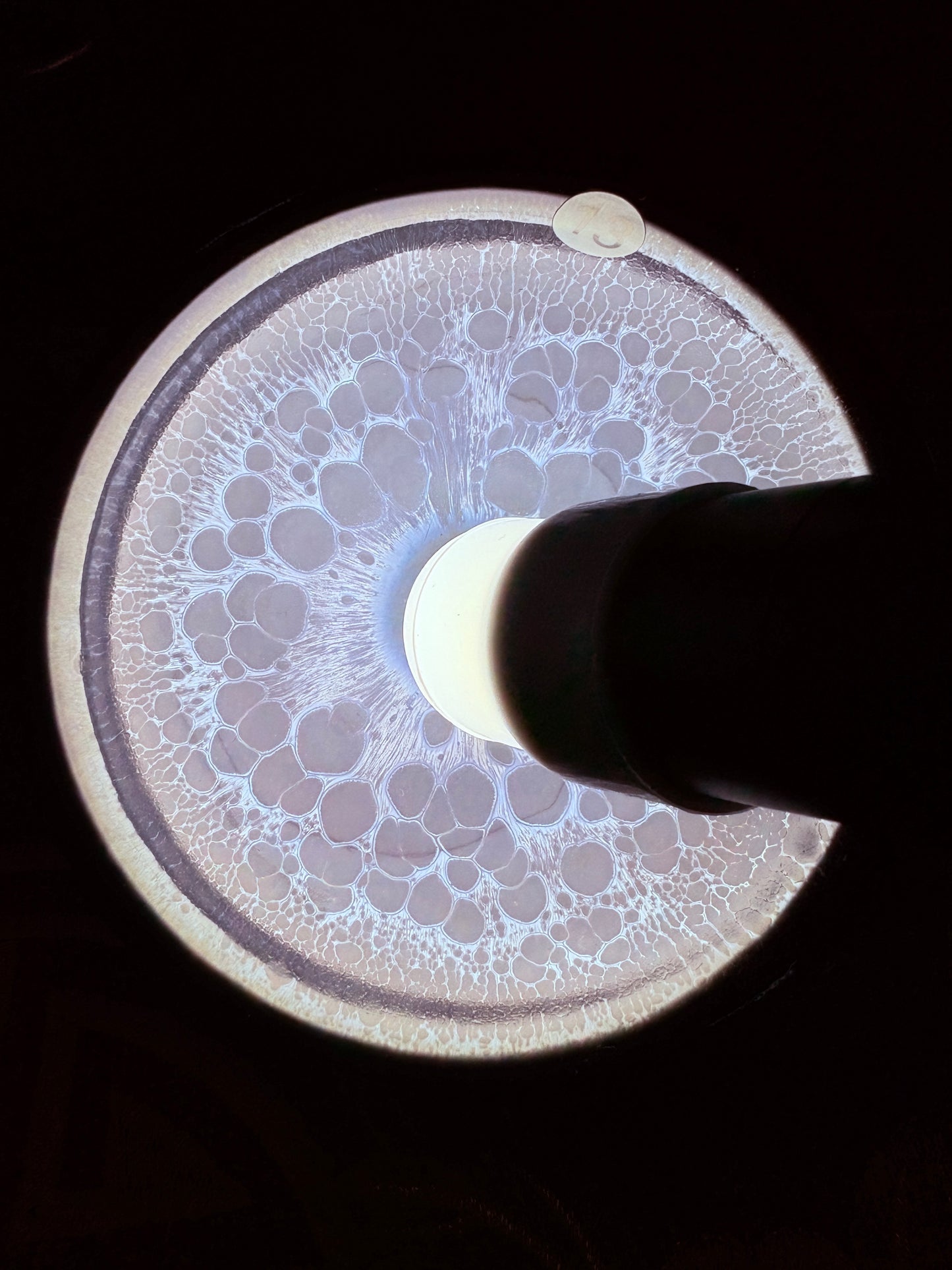 【Michael Pick】08.28