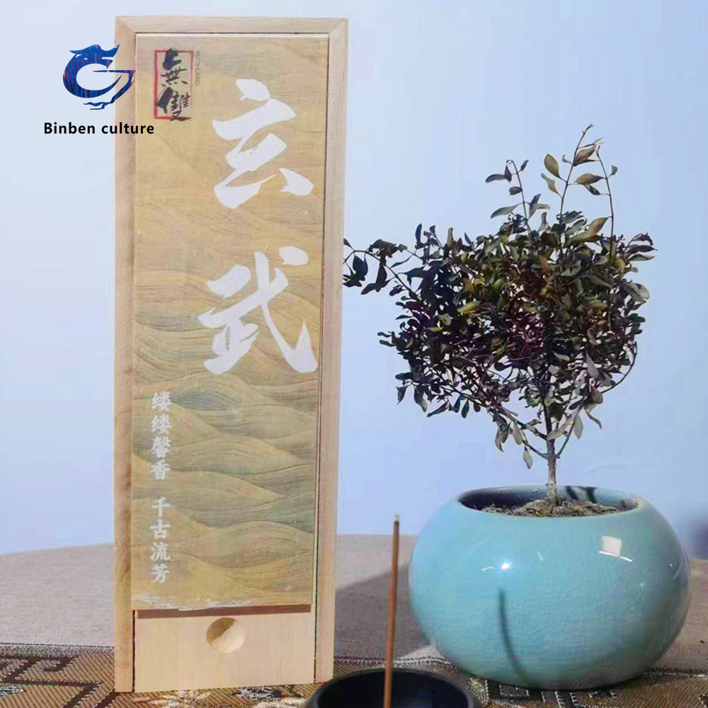 Xuanwu-Incense sticks