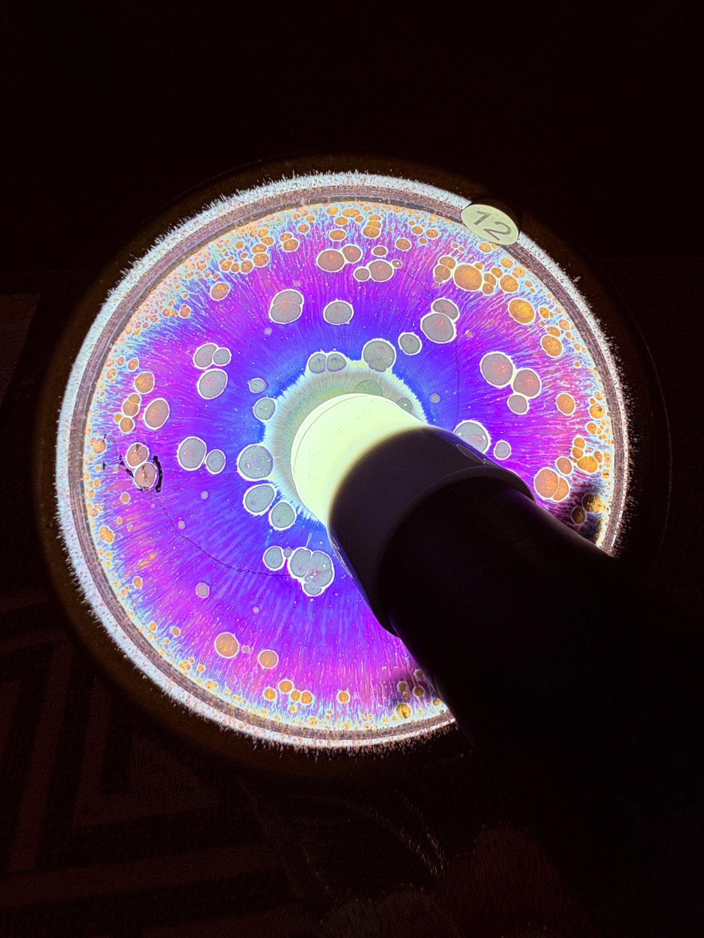 【Michael Pick】08.28