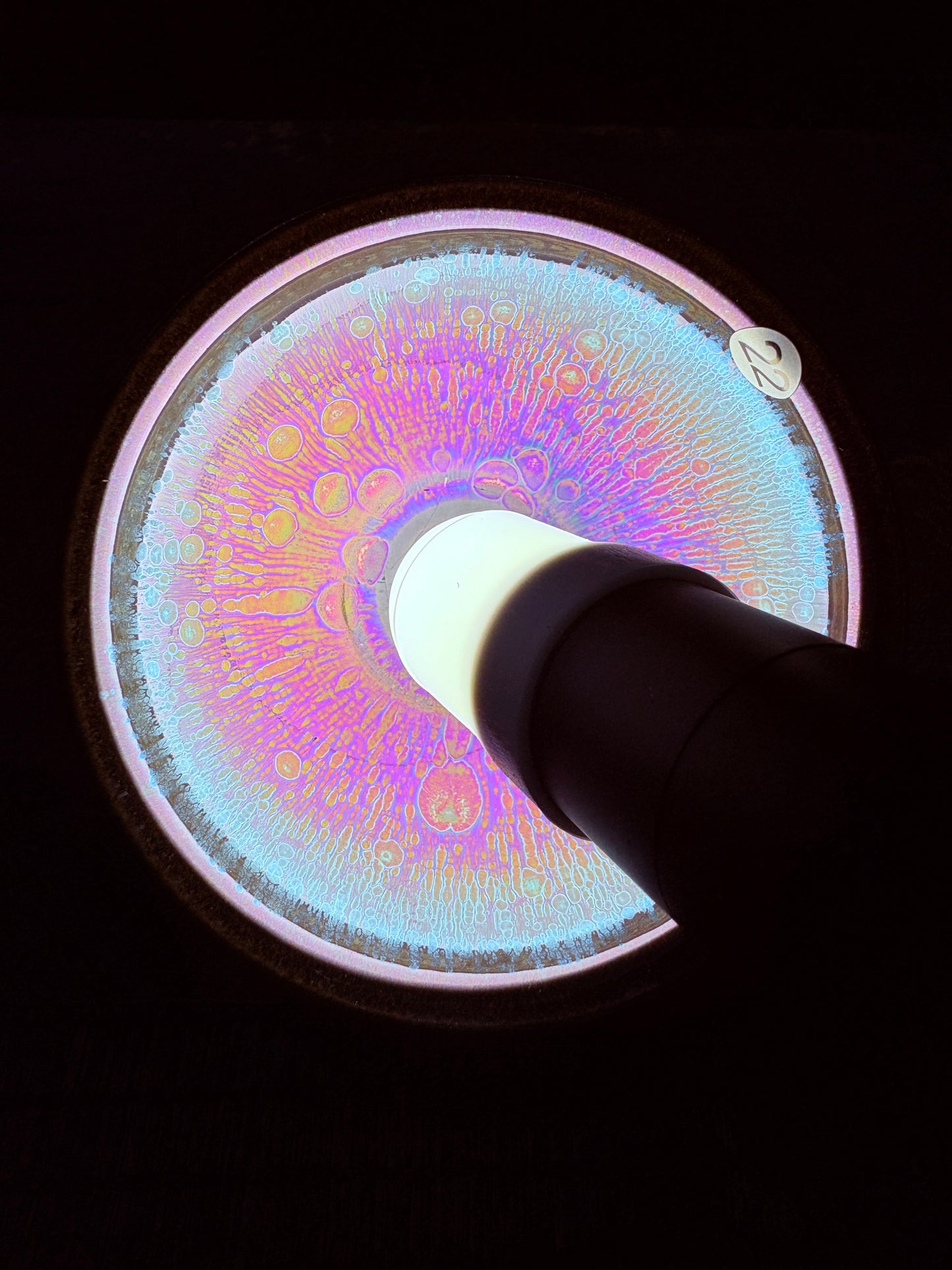 【Michael Pick】08.27evening