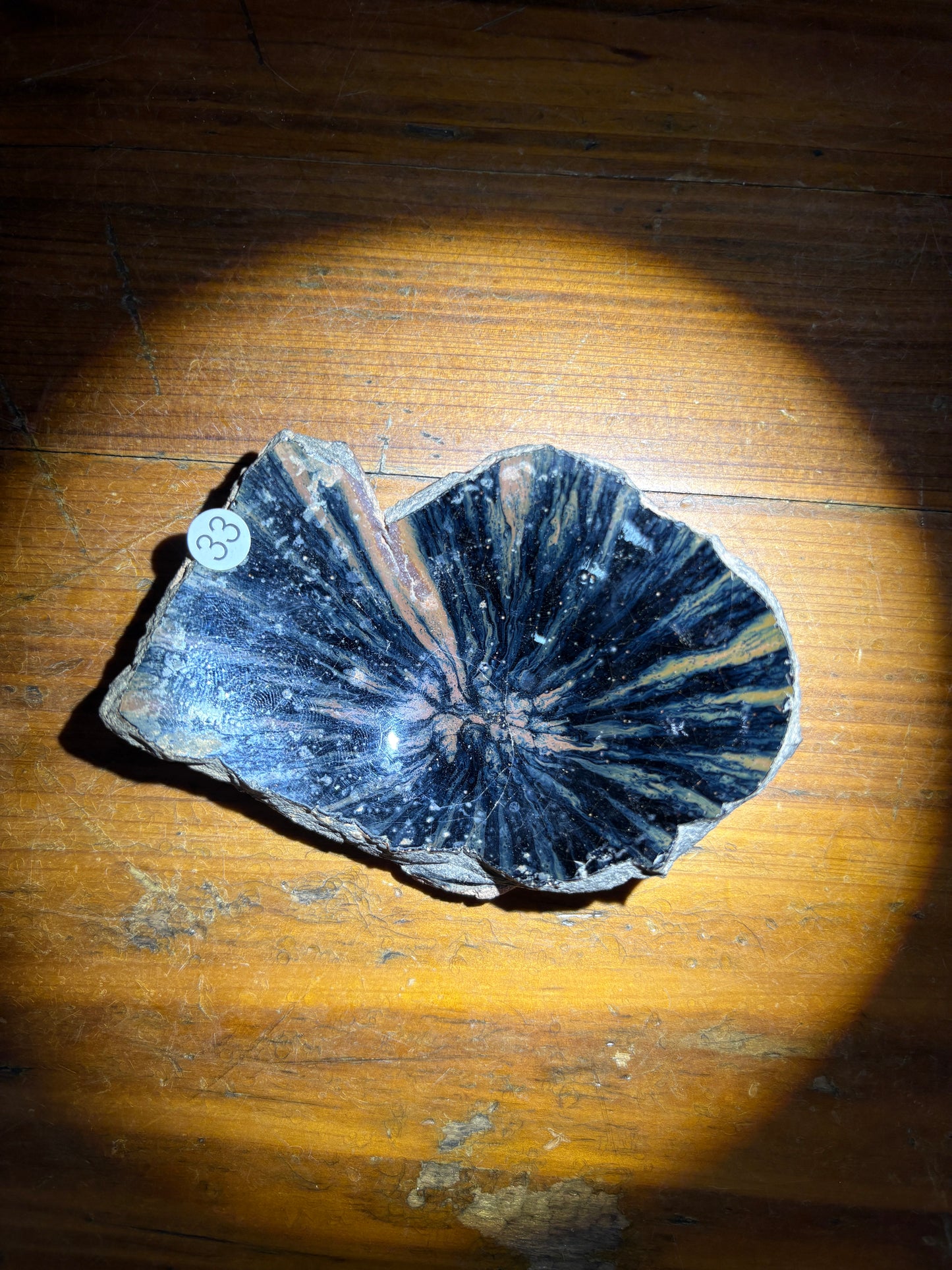 【Michael Pick】10.10